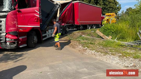 Ciężarówka staranowała słup i wjechała na posesję
