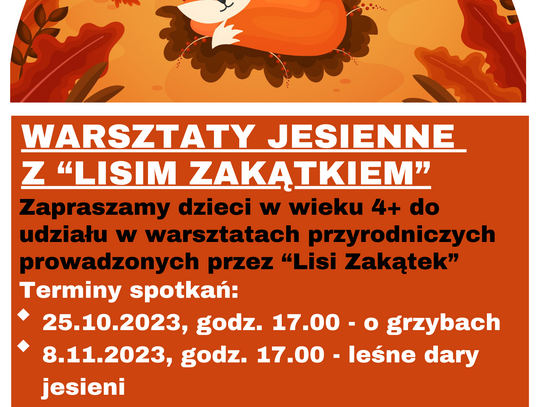 "Lisi Zakątek" w bibliotece "Pod Sową"