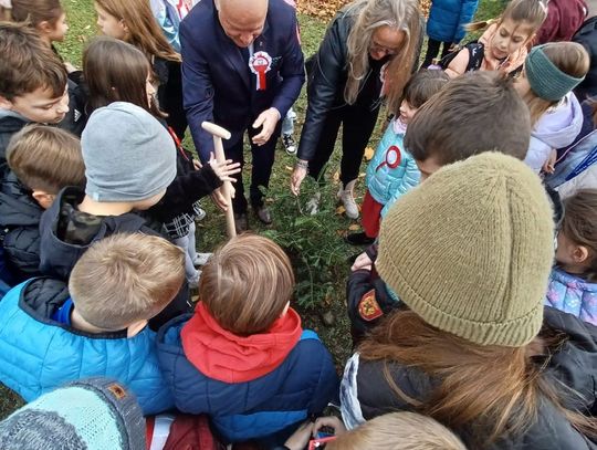 W Narodowe Święto Niepodległości sadzili drzewa