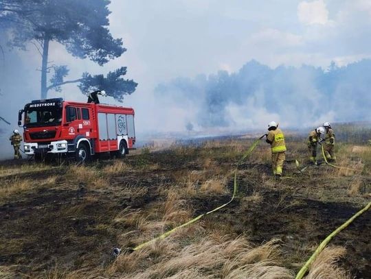 Pożar lasu i powalone drzewo. Działała OSP Międzybórz