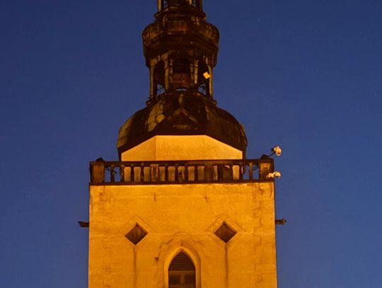 Podświetlono wieżę bazyliki w Oleśnicy