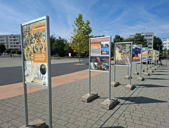 Wrocławskie zoo w Oleśnicy