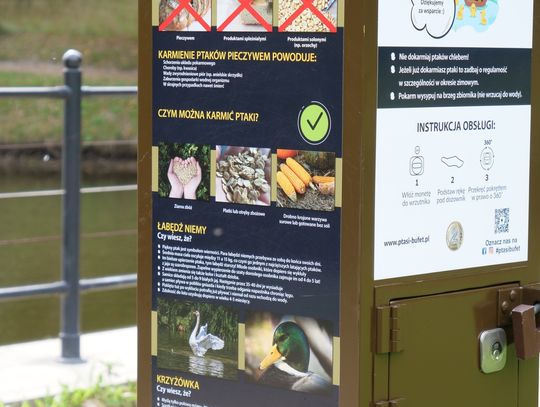 W parku stanął kaczkomat. Nakarmimy kaczki ziarnem i nie tylko