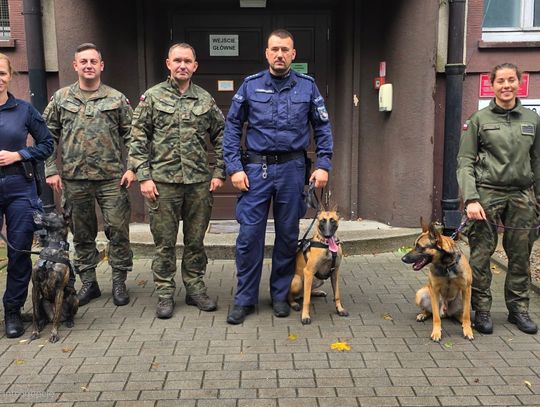 Szkolenie z udziałem psów służbowych Żandarmerii Wojskowej oraz Policji