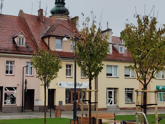 Plac Wolności w Sycowie znów rozkwita
