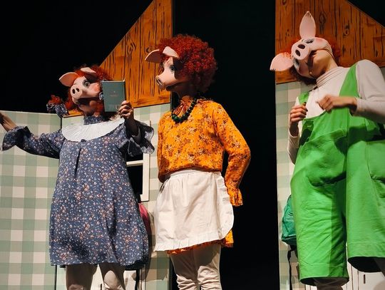 Świnki trzy w Oleśnicy