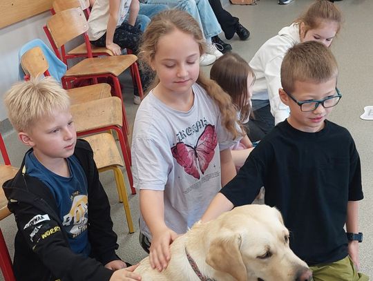 Dogoterapia w szkole w Oleśnicy