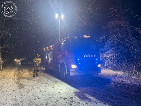 Drzewo spadło na drogę