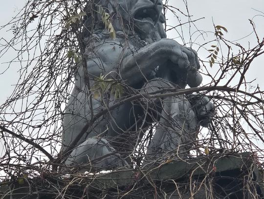 Lew do restauracji, mury do remontu