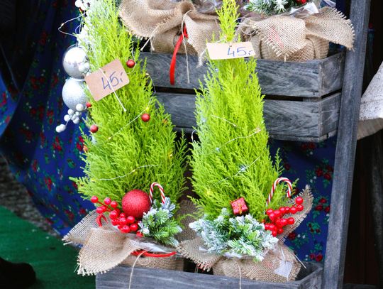 Do X Dobroszyckiego Jarmarku Bożonarodzeniowego został tydzień