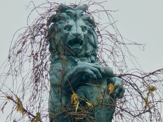 Sycowskie lwy i mur przejdą renowację