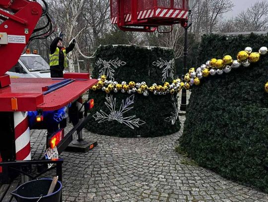Strażacy zamontowali choinkę w centrum miasta