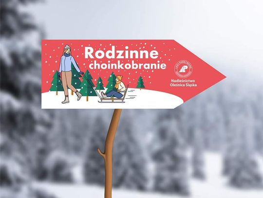 Nadleśnictwo Oleśnica Śląska zaprasza na rodzinne Leśne Choinkobranie 2025