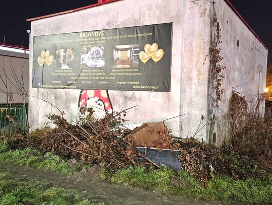 Kto wyrzucił brodzik i schował pod gałęziami?