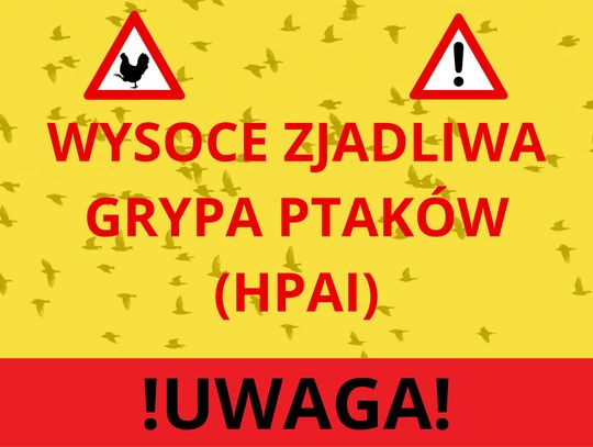 Ptasia grypa w powiecie oleśnickim!