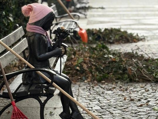 Słońce nad Oleśnicą – wiosna już puka do drzwi?