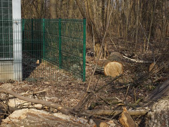 Degradacja terenu „Wodociągi” w Oleśnicy – znikająca zieleń Degradacja terenu „Wodociągi” w Oleśnicy – znikająca zieleń