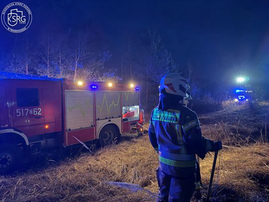 Pożar nieużytków pod Twardogórą. Strażacy ruszyli do akcji w Grabownie Wielkim