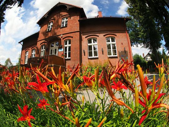 Dobroszyce w czołówce Dolnego Śląska! Ponad 28% mieszkanek skorzystało z badań ratujących życie Dobroszyce w czołówce Dolnego Śląska! Ponad 28% mieszkanek skorzystało z badań ratujących życie