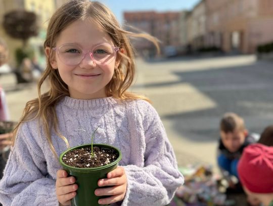 Przedszkolaki witają wiosnę, sadząc ziółka Przedszkolaki witają wiosnę, sadząc ziółka