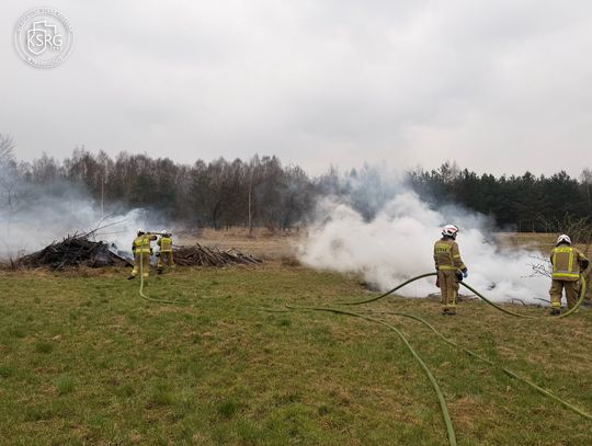 Kolejny pożar trawy na terenie gminy Twardogóra. Akcja OSP w Sądrożycach Kolejny pożar trawy na terenie gminy Twardogóra. Akcja OSP w Sądrożycach
