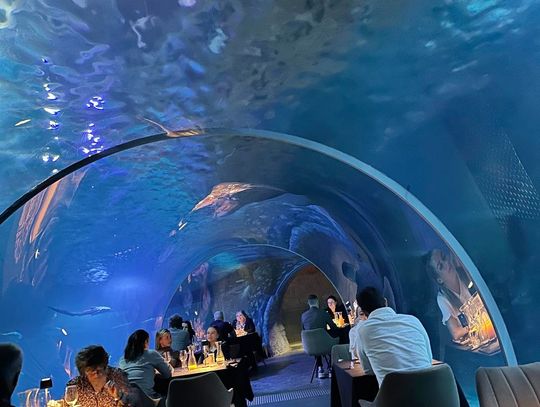 Podwodna kolacja że starostą oleśnicką Podwodna kolacja że starostą oleśnicką