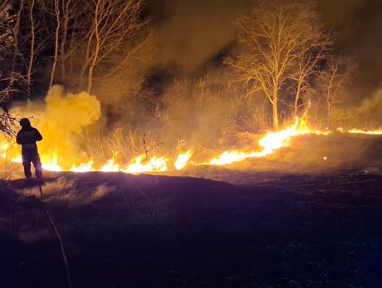 Groźny pożar trzciny w Grabownie Wielkim