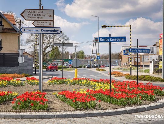 Twardogóra rozkwitła w kolorach wiosny