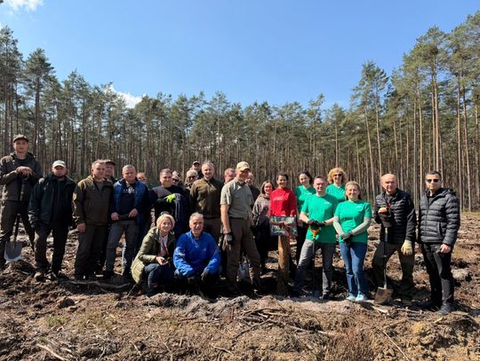 1000 nowych drzew dla przyszłości! Samorządowe Sadzenie Lasu 2026 w Malerzowie