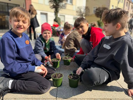 Międzynarodowy Dzień Ziemi w Oleśnicy: uczniowie sadzili zioła