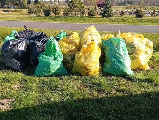 Kamień i Ose sprzątają świat! Mieszkańcy pokazali, że małe gesty mają wielkie znaczenie