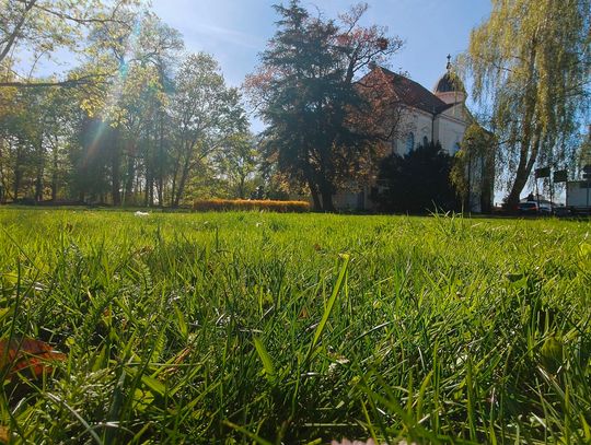 Majówka w Sycowie zapowiada się idealnie! Pogoda dopisze, a na mieszkańców czeka coś jeszcze…