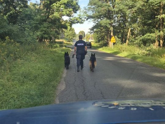Dwa owczarki niemieckie odnalazły drogę do domu dzięki policjantom