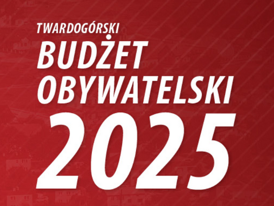 11 projektów w budżecie obywatelskim