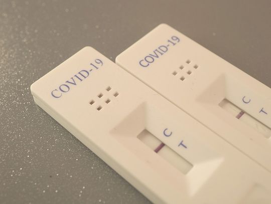 36 zakażonych w powiecie oleśnickim
