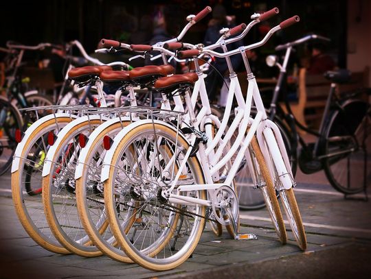 40 rowerów w Oleśnicy od 12 lipca 