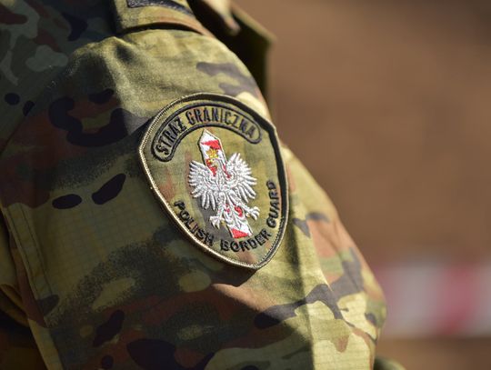 50 nielegalnych pracowników zagranicznych w tartaku w powiecie oleśnickim 