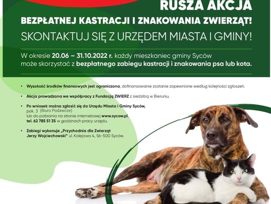 Akcja kastracyjna w Sycowie