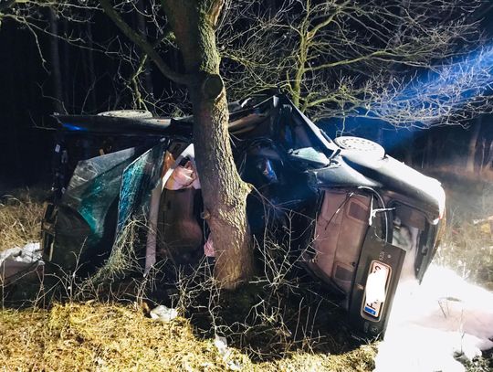 Auto uderzyło w drzewo