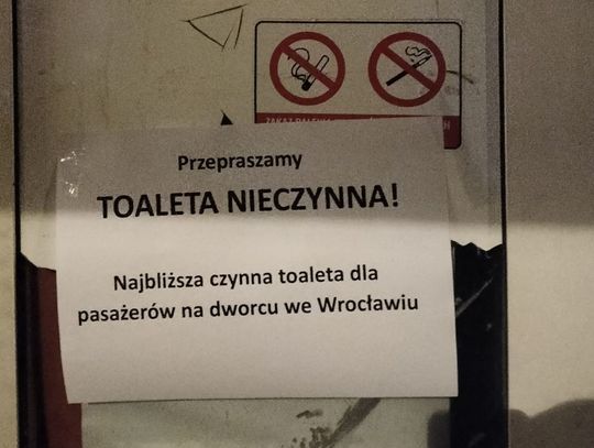 Bareja, czyli najbliższa toaleta we... Wrocławiu