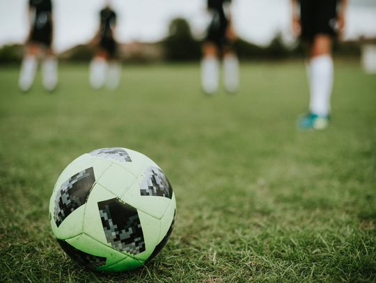Betfan – nowa marka na polskim rynku 