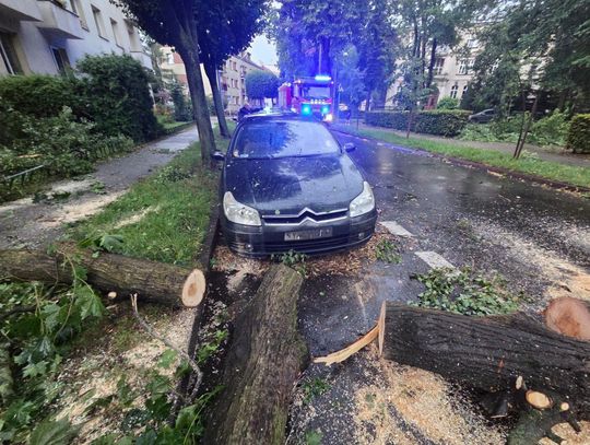 Burze dały się we znaki. Strażacy interweniowali 12 razy w powiecie oleśnickim