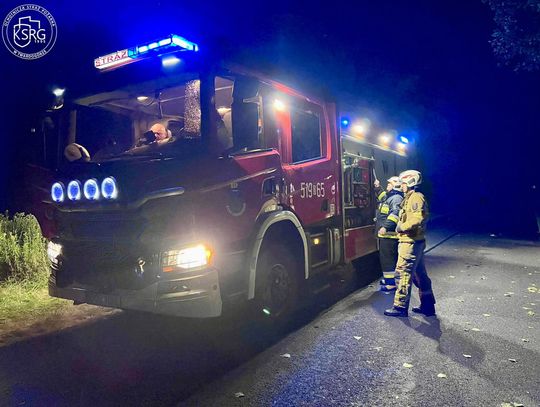 Było niebezpiecznie! Konar spadł na drogę