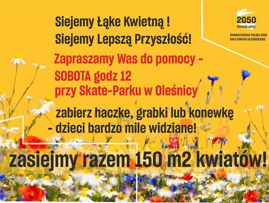 Chcą założyć nową łąkę kwietną w Oleśnicy