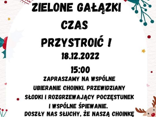 Choinka, czyli sołtyska kontra Koło Gospodyń Wiejskich w Krzeczynie