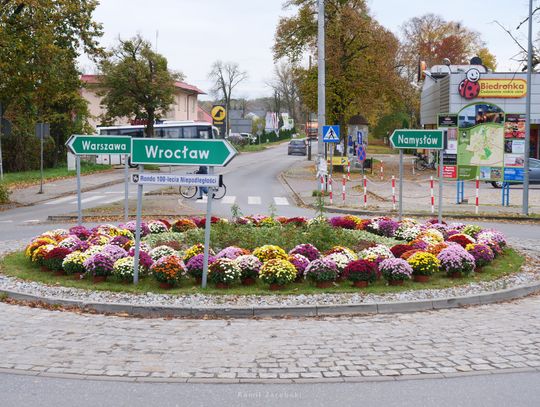 Chryzantemami ukwiecili Syców