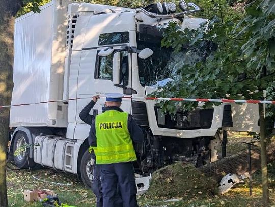 Ciągnik siodłowy wjechał do parku i uderzył w drzewo!