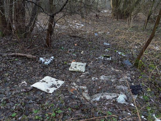 Co z petycją w sprawie powiększenia Parku Książąt Oleśnickich lub utworzenia nowego parku?