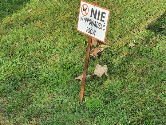 Co z tym wyprowadzaniem psów na Hallera w Oleśnicy?