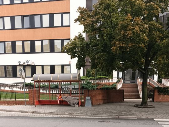 Czekała na autobus tak długo, że aż zasnęła?